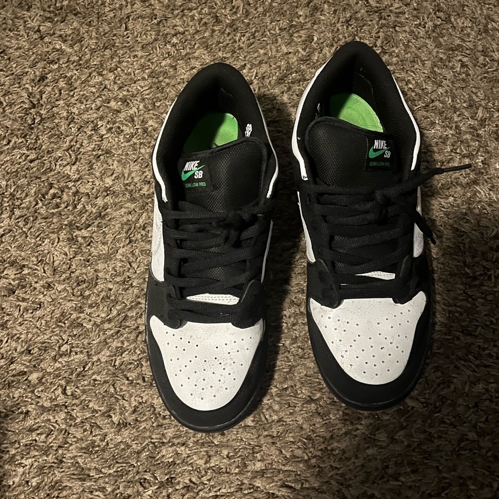Pigeon Dunks - Picture 2 of 10